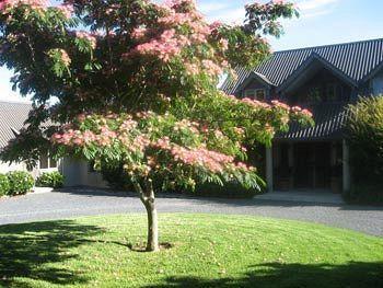 Heron Hill Hotel Kerikeri Bagian luar foto